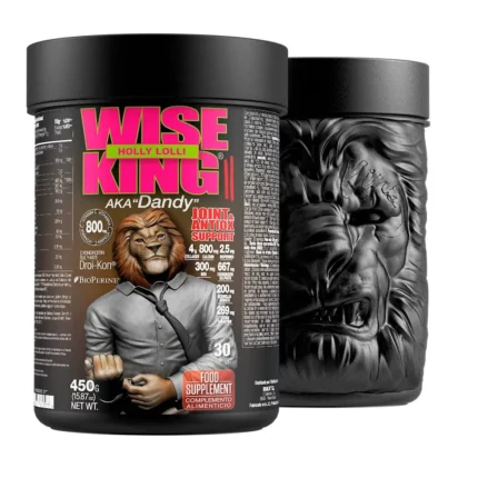 Wise-King-Holly-Lolli.webp
